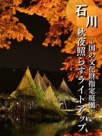 【石川】年間でのライトアップもおすすめは秋🍂週末限定の様子を紹介✨