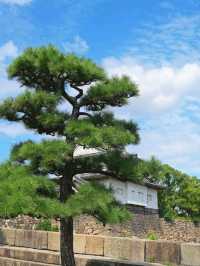 大阪城天守閣，了解歷史必去景點