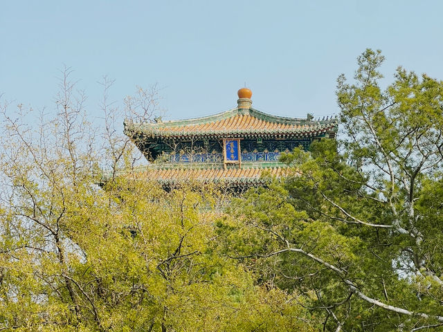 Forbidden city 