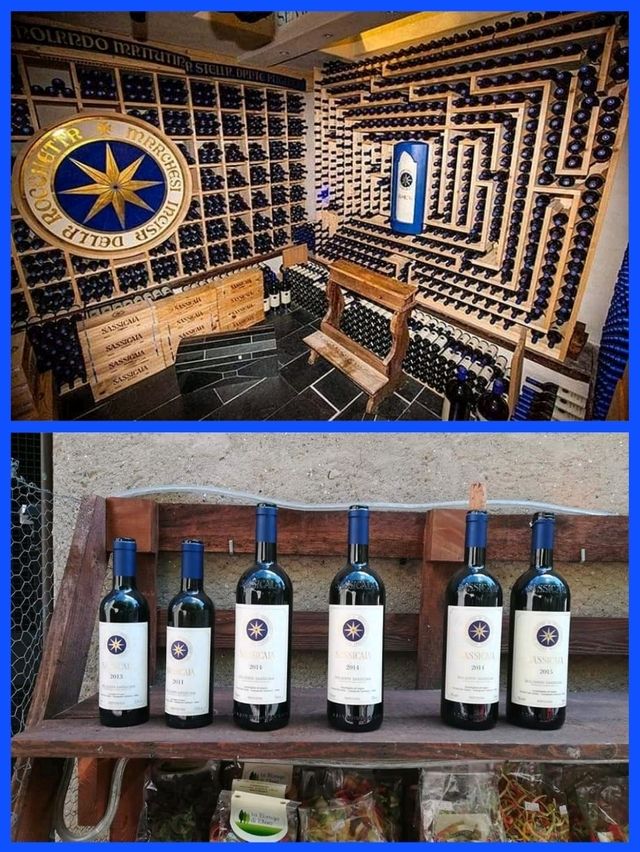「托斯卡納紅酒Sassicaia」酒莊：浪漫名字，世界一流品質，酒迷朝聖之旅