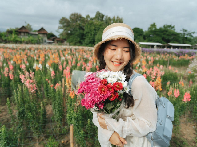 I love flower farm จ.เชียงใหม่