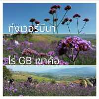 สวนดอกไม้ เขาค้อ 