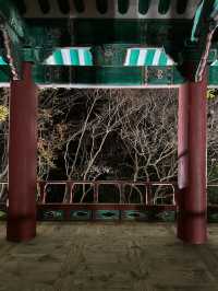 전주 한옥마을을 내려다볼 수 있는 곳