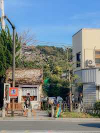 일본 가마쿠라🇯🇵 산책하기 좋은 가마쿠라🩵