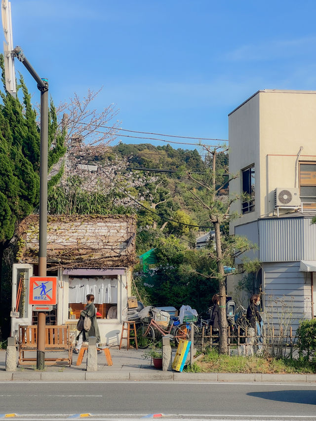 일본 가마쿠라🇯🇵 산책하기 좋은 가마쿠라🩵
