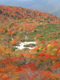 【栃木】死ぬまでにみたい絶景の紅葉