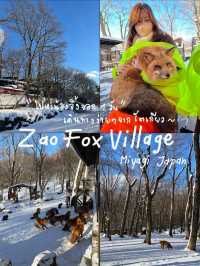 🦊 Zao Fox Village 🦊