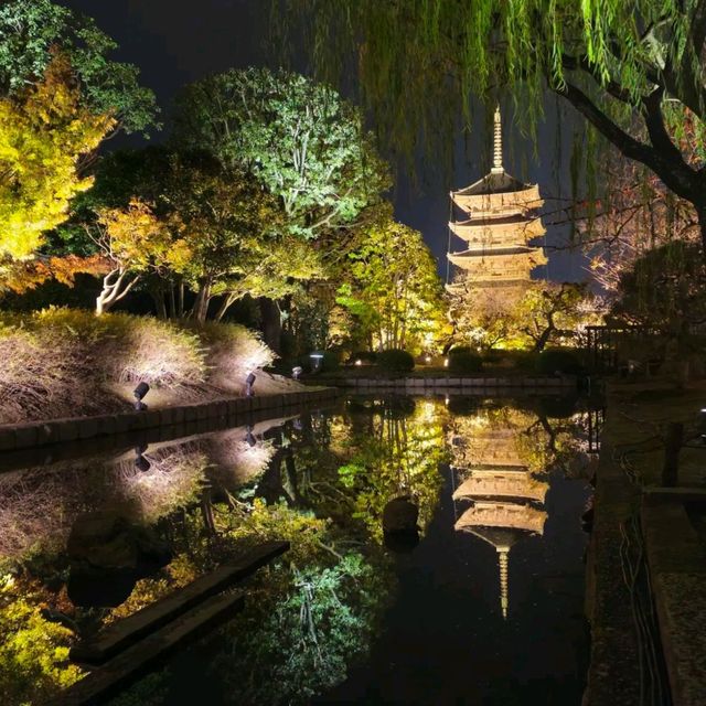 ✨ บรรยากาศสุดฟิน! ชมไฟกลางคืนที่วัดToji, Kyoto✨