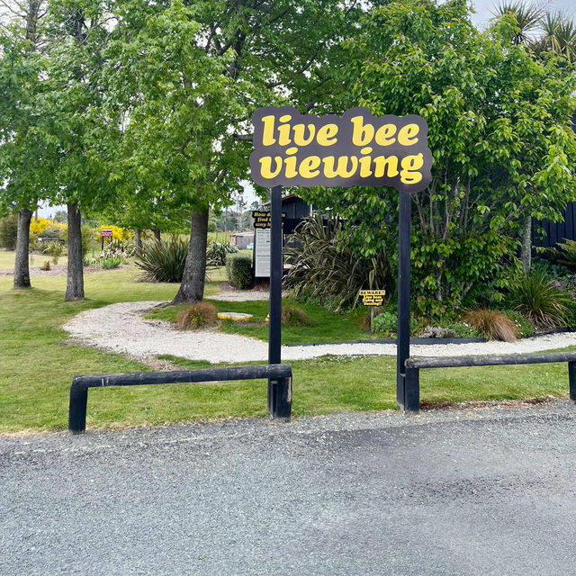 【NZ】Huka Honey Hive🐝