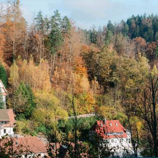 Black Forest (Schwarzwald)