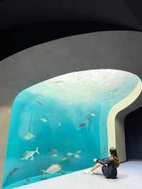 日本景點🇯🇵這個水族館太美了