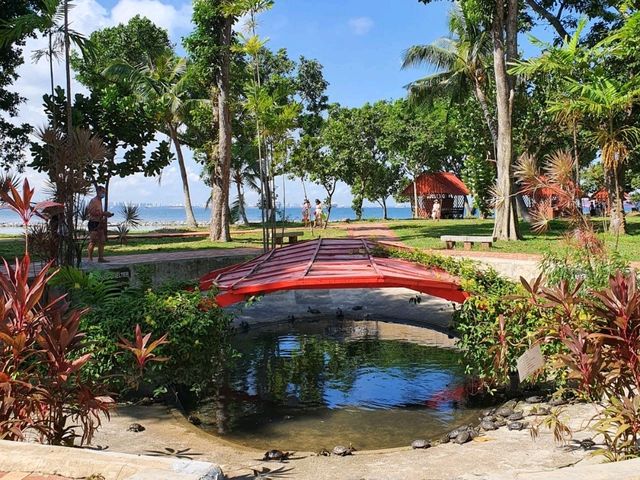 Kusu Island: One of the Southern Islands of SG