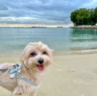 Sun, Sea and Fun! A Vitamin Sea at Tanjong Beach Club