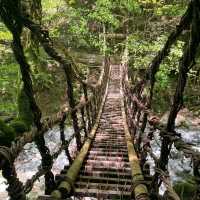 Iya Valley (Shikoku Island)