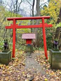 北海道　札幌観光　円山八十八ヶ所大師堂2024 紅葉の円山八十八ヶ所を散策してみた！