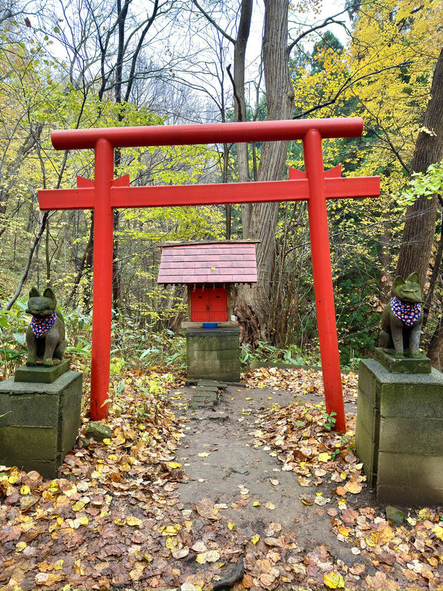 北海道　札幌観光　円山八十八ヶ所大師堂2024 紅葉の円山八十八ヶ所を散策してみた！