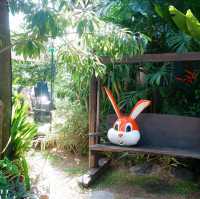 #คาเฟ่กระต่าย#ร้านอาหารพัทยา #ลอฟบิทพาร์ค #Pattaya