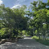 อุทยาน 100 ปี จุฬาลงกรณ์มหาวิทยาลัย🌳🌷