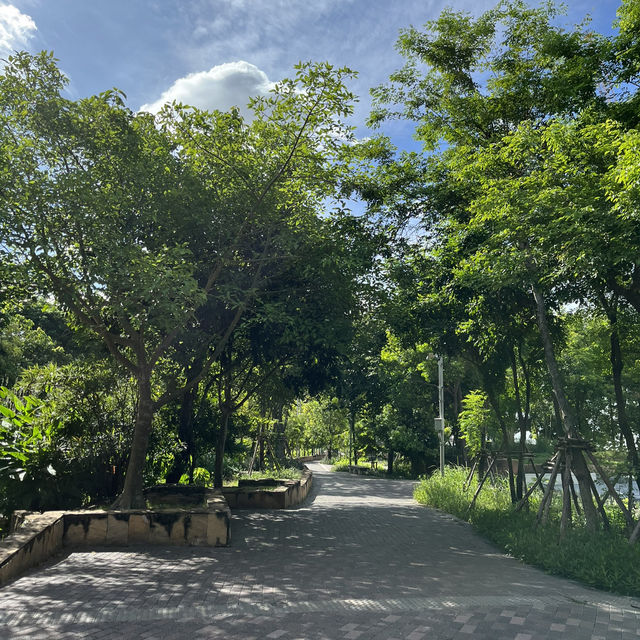 อุทยาน 100 ปี จุฬาลงกรณ์มหาวิทยาลัย🌳🌷