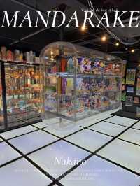 鳥居の先はアンティークTOYが並ぶ近未来空間🫣🪐💞【東京・中野】
