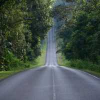 One Day Trip.​ เขาใหญ่