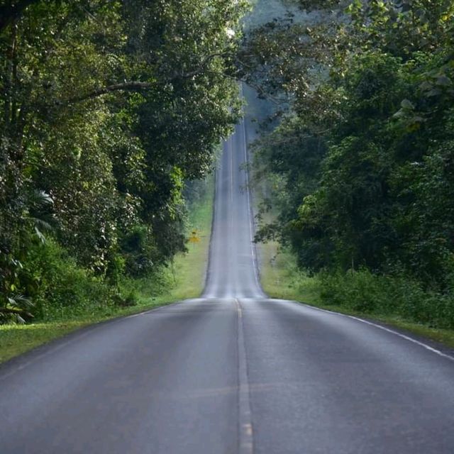 One Day Trip.​ เขาใหญ่