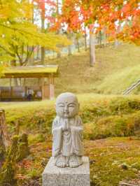 【京都】京都、穴場の絶景！紅葉が見事なお寺