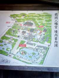 【神奈川県/鎌倉　生命力を感じる”大銀杏”の紅葉が美しい『鶴岡八幡宮』】