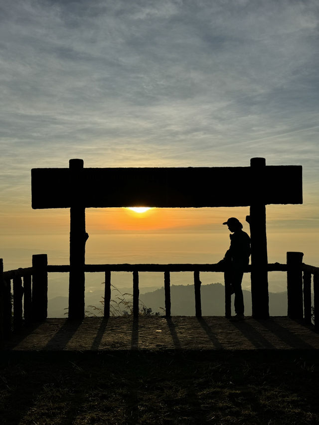 เช้าฤดูหนาวที่ดอยขุนตาล | จ.ลำพูน ⛰️🌿💫🏕️