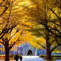 The University of Tokyo