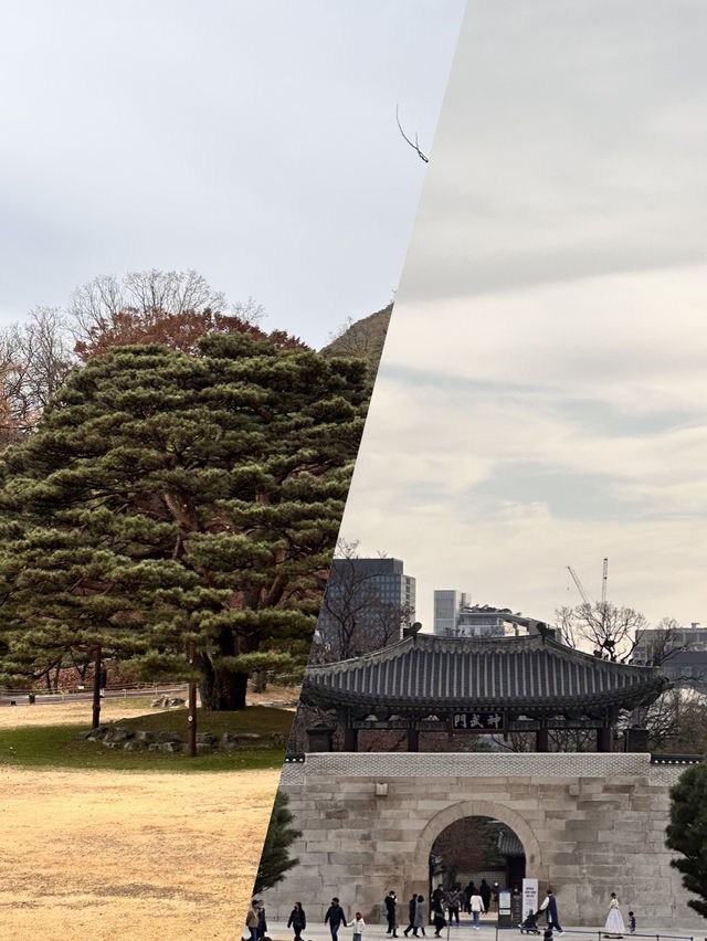 야외 데이트 필수코스 청와대 탐방🚶