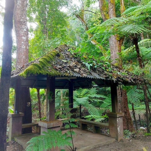 สวนหลวงสิริภูมิ เชียงใหม่