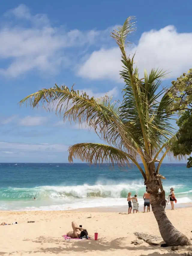 桑迪海灘：歐胡島的衝浪者天堂