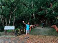 Quick 5km hike / trail run in Jerudong, Brunei !