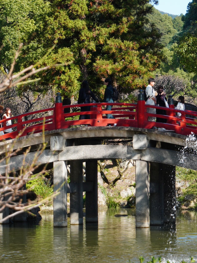 学問の神の総本宮  朱塗りの楼門、太鼓橋、3年限定「浮かぶ森」
