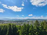 Thrilling Adventures Await at Skyline Rotorua