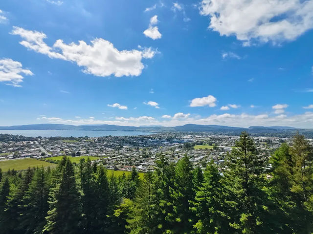 Thrilling Adventures Await at Skyline Rotorua