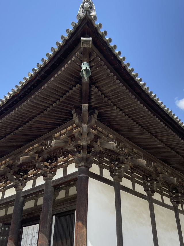 Kofukuji Temple: A Blend of History and Grace