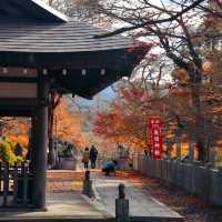 桑田神社 可能是龜岡唯一景點