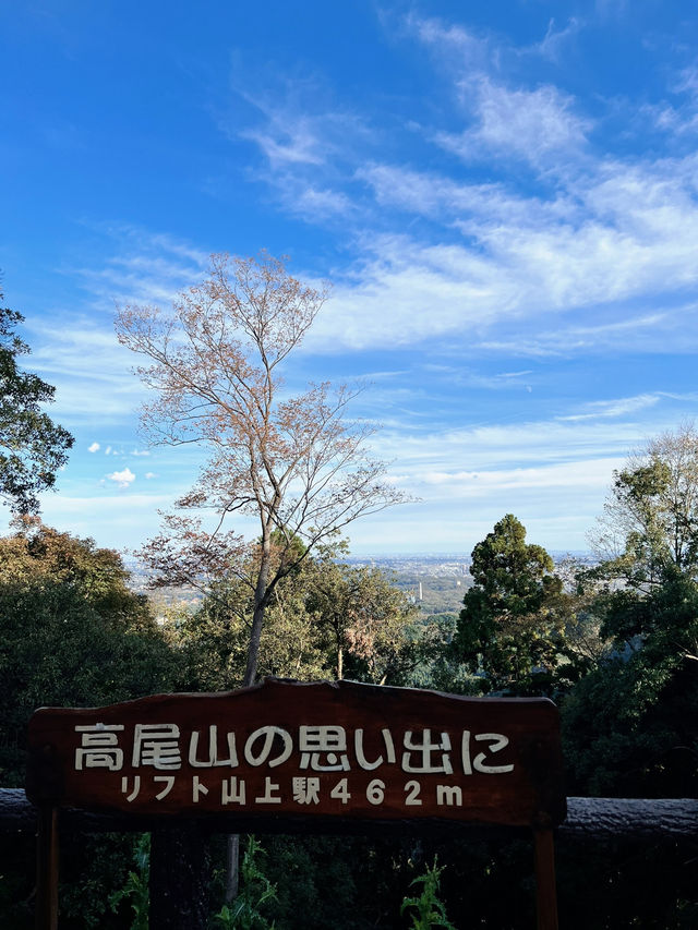 【東京】新宿から1時間の絶景