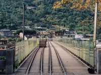 Houtong Cat Village สวรรค์ของคนรักแมว