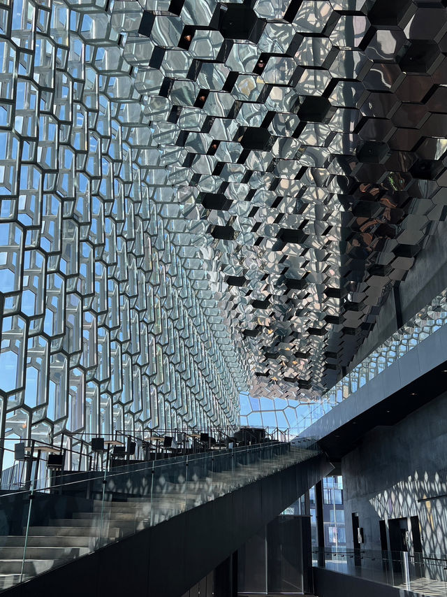 冰島市區Reykjavik City Walk打卡大全！🇮🇸