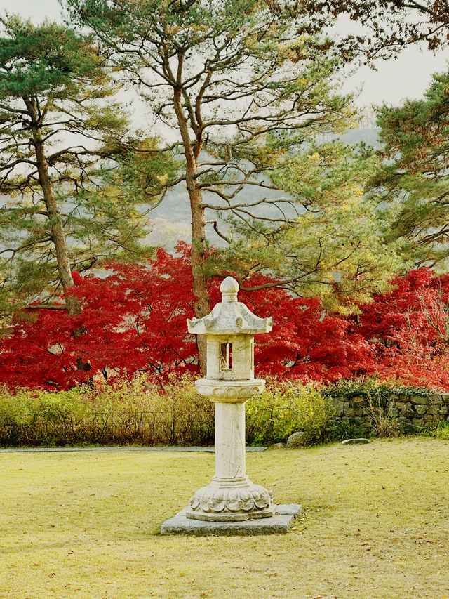 미술관에 있는 특별한 카페 ‘카멜커피 호암미술관점’ ☕️🍁