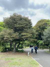 Discover Serenity at Shinjuku Gyoen, Tokyo’s Urban Escape