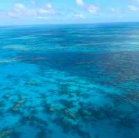Soaring Above and Diving Below: My Spectacular Day at the Great Barrier Reef!