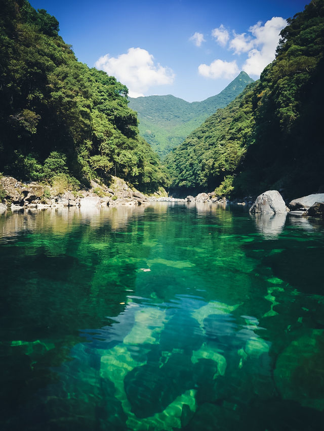 屋久島・安房川で夏の絶景カヤック体験🚣‍♀️✨
