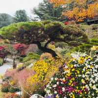 Garden of Morning Calm