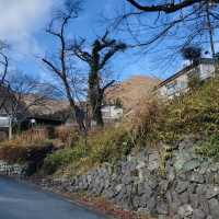 Discover the Tranquil Beauty of Kinugawa Onsen Village