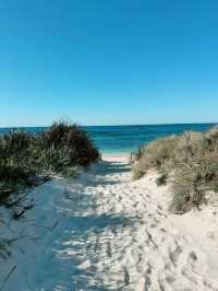 Exploring Perth: Stunning Views, Vibrant Culture, and Coastal Beauty