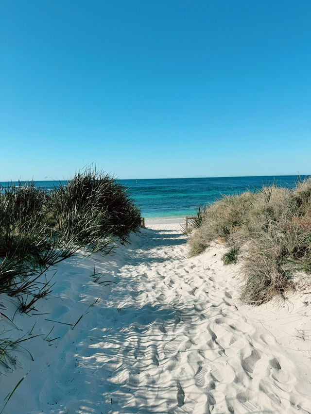Exploring Perth: Stunning Views, Vibrant Culture, and Coastal Beauty